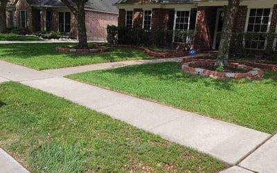 Photo of Dashawn C.'s yard after getting lawn care in Wakefield, RI