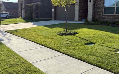 Photo of Jennifer G.'s yard after getting lawn care in Seattle, WA