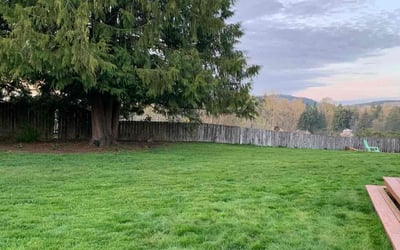 Photo of Vee M.'s yard after getting lawn care in Snohomish, WA