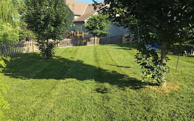 Photo of Matt J.'s yard after getting lawn care in Loganville, GA