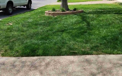 Photo of Ivy S.'s yard after getting lawn care in Laurel, DE