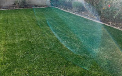 Photo of Amanda P.'s yard after getting lawn care in Gilbert, AZ