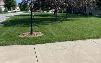 Photo of Russ H.'s yard after getting lawn care in Aransas Pass, TX