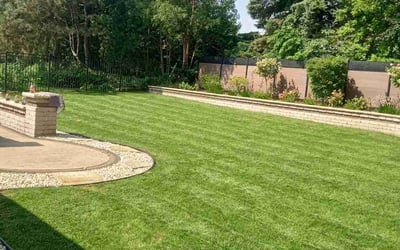 Photo of David J.'s yard after getting lawn care in Kenosha, WI