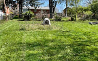 Photo of Rodney J.'s yard after getting lawn care in Winchester, KY