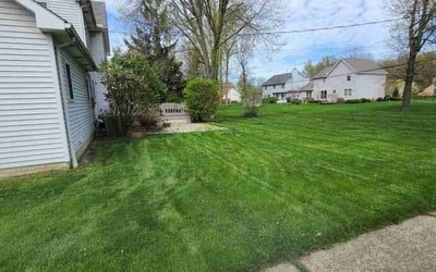 Photo of Sheila H.'s yard after getting lawn care in Amherst, OH