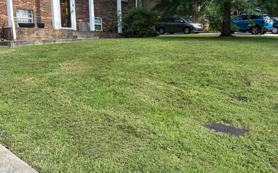 Photo of Robin L.'s yard after getting lawn care in Washington, IL