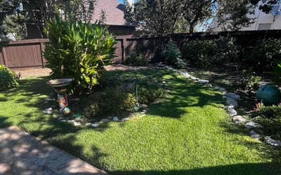 Photo of Nick F.'s yard after getting lawn care in Floresville, TX