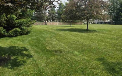 Photo of Shantell H.'s yard after getting lawn care in Smyrna, TN