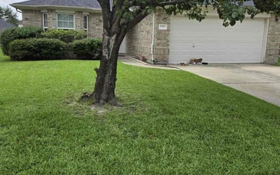Photo of Ellie C.'s yard after getting lawn care in Trenton, NJ