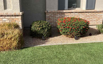Photo of Omar B.'s yard after getting lawn care in Queen Creek, AZ