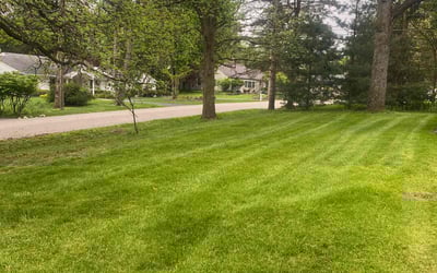 Photo of Teresa C.'s yard after getting lawn care in Franklin, MI