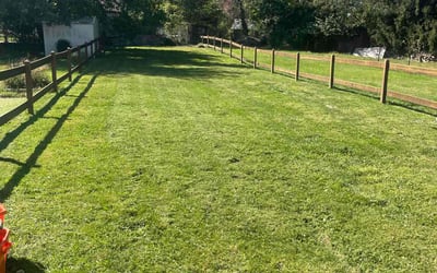Photo of Brian D.'s yard after getting lawn care in Kittanning, PA