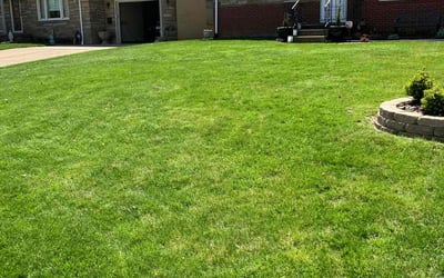Photo of Ramona K.'s yard after getting lawn care in Canton, OH