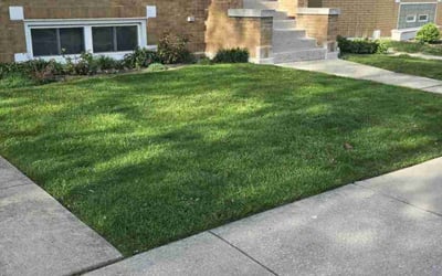 Photo of Loretta L.'s yard after getting lawn care in Chicago, IL