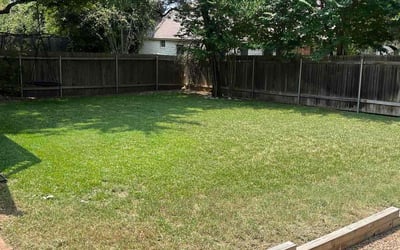 Photo of Pamela L.'s yard after getting lawn care in Wimberley, TX