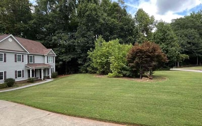 Photo of Paul S.'s yard after getting lawn care in Winder, GA