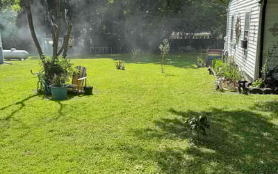 Photo of Robyn H.'s yard after getting lawn care in Merritt Island, FL