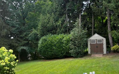 Photo of Ashlee R.'s yard after getting lawn care in Ambler, PA