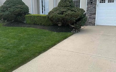 Photo of Keke J.'s yard after getting lawn care in Haledon, NJ