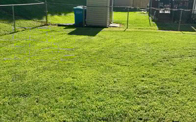 Photo of Rhonda M.'s yard after getting lawn care in Roanoke, VA