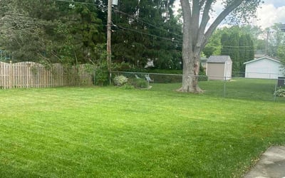 Photo of Ligaya A.'s yard after getting lawn care in Wheaton, IL