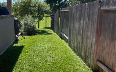 Photo of Kimberly S.'s yard after getting lawn care in Texarkana, TX