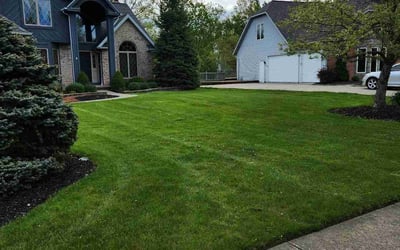Photo of Kellie L.'s yard after getting lawn care in North Royalton, OH