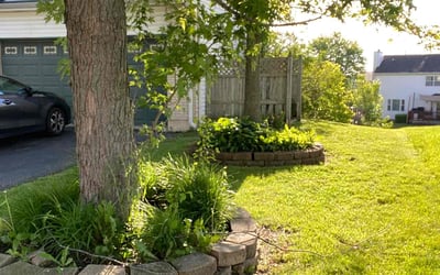 Photo of Kathryn M.'s yard after getting lawn care in Zion, IL