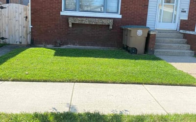 Photo of Chastity H.'s yard after getting lawn care in East Chicago, IN