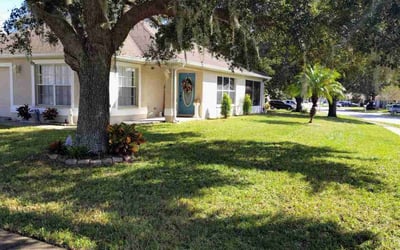 Photo of Linda O.'s yard after getting lawn care in Brooksville, FL