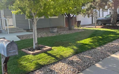 Photo of Mallory B.'s yard after getting lawn care in Broomfield, CO