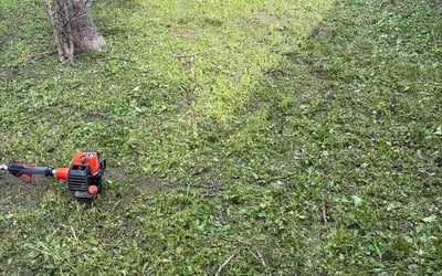 Photo of Jake M.'s yard after getting lawn care in Yorkville, IL