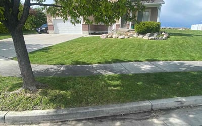 Photo of Jeremy F.'s yard after getting lawn care in Herriman, UT