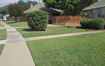 Photo of Kristi B.'s yard after getting lawn care in Lancaster, TX