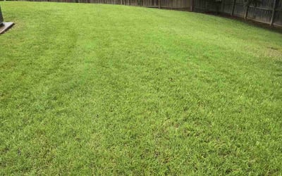 Photo of Yolswannty S.'s yard after getting lawn care in Byhalia, MS