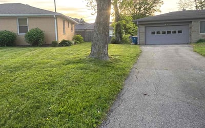 Photo of Karen S.'s yard after getting lawn care in Plant City, FL