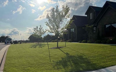 Photo of Amber T.'s yard after getting lawn care in Duluth, MN