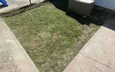 Photo of Debrah R.'s yard after getting lawn care in Oakland Gardens, NY