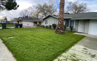 Photo of Bryan W.'s yard after getting lawn care in North Highlands, CA