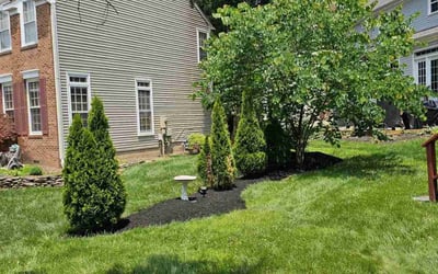 Photo of Chase J.'s yard after getting lawn care in Aubrey, TX
