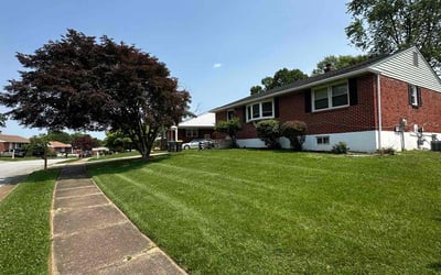 Photo of Andrea B.'s yard after getting lawn care in Peachtree City, GA
