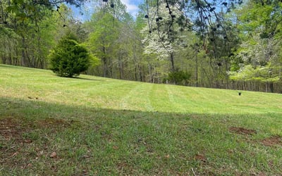 Photo of Tracy D.'s yard after getting lawn care in Lenoir City, TN