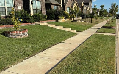 Photo of Jacqueline R.'s yard after getting lawn care in Red Oak, TX