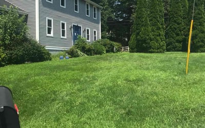 Photo of Gina B.'s yard after getting lawn care in Framingham, MA
