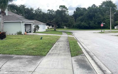 Photo of Aly C.'s yard after getting lawn care in Sanford, ME