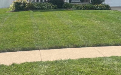 Photo of Michael S.'s yard after getting lawn care in Lorain, OH