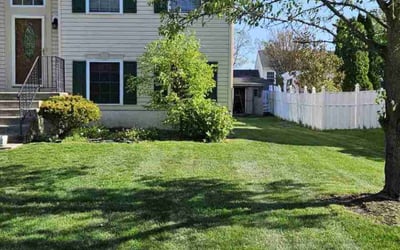 Photo of Darbi M.'s yard after getting lawn care in Bordentown, NJ