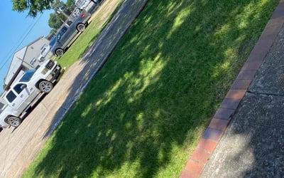 Photo of Tasha N.'s yard after getting lawn care in Yorba Linda, CA