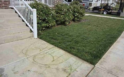 Photo of Bryan O.'s yard after getting lawn care in Medford, NJ